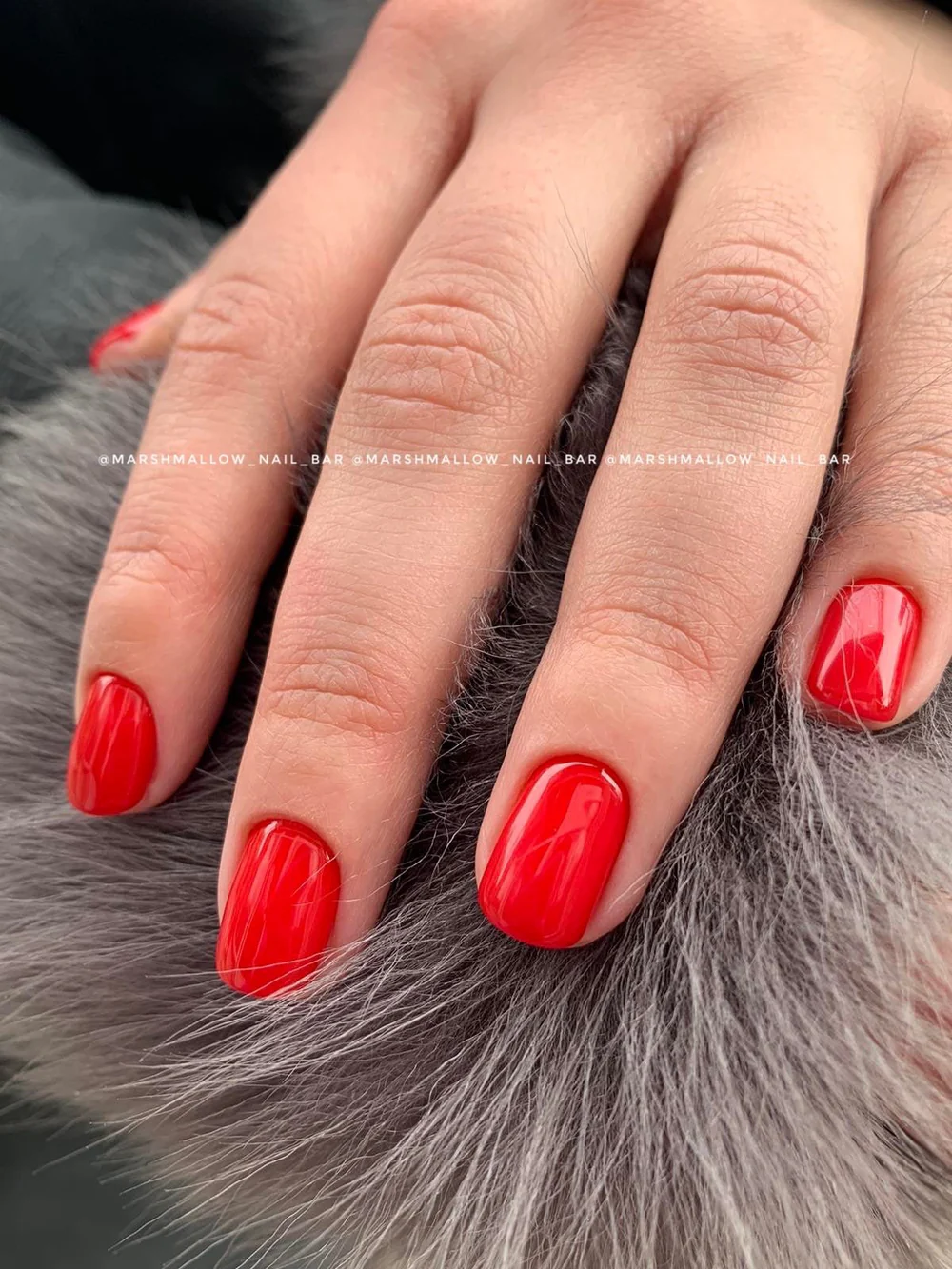 izm-002-real-red-5ml-15ml-126971