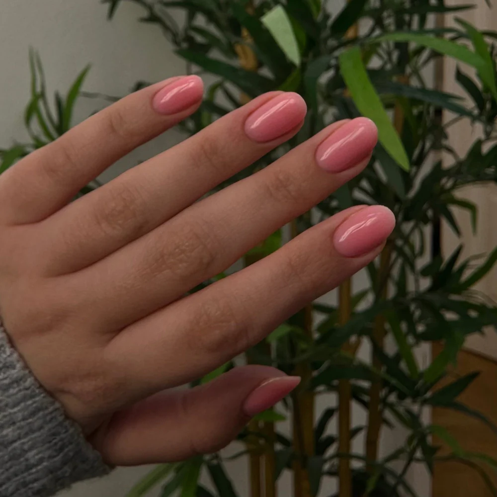 izm-system-011-409749